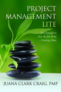 Project Management Lite Book Cover